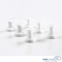 Punaises Jumbo magnétiques blanches 6 pcs.